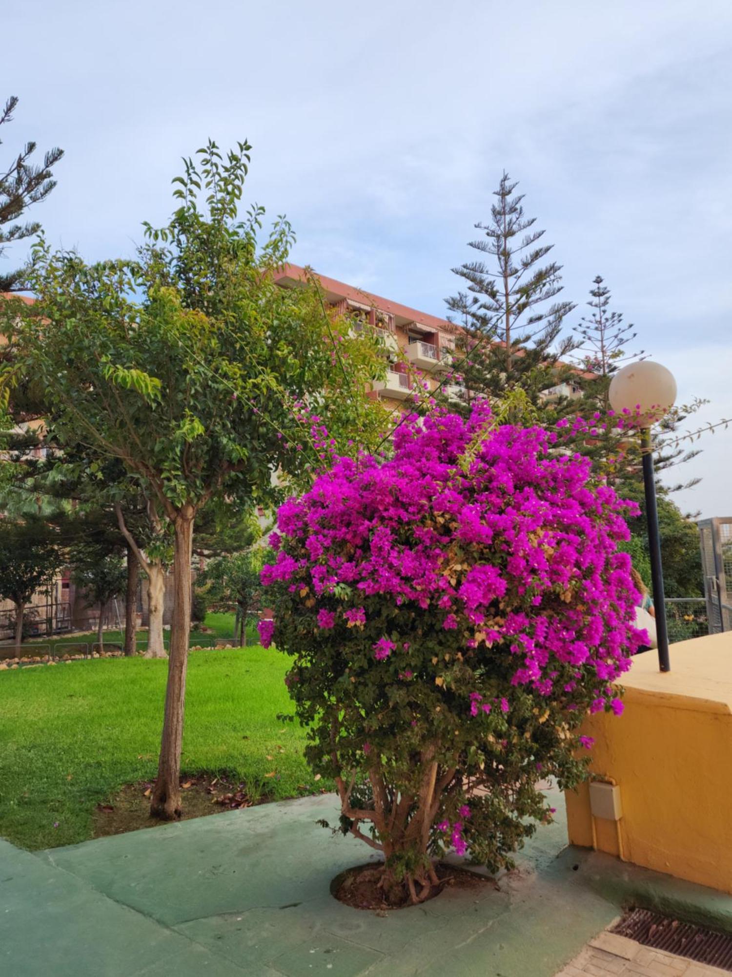 Benalmadena Minerva 401 Estudio Con Gran Piscina Y Parque Acuatico Luaran gambar